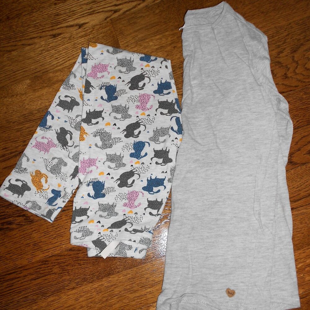 Zara Girls Long Sleeve Shirt and Leggings Set